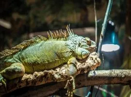 Apartments in the holiday and leisure park Weissenhäuser Strand, Weissenhäuser Strand