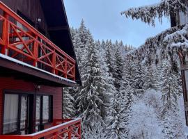 Vila Casa Familiei Poiana Braşov，位于波亚纳布拉索夫的山林小屋
