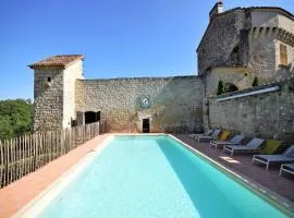 Castle 12th century with private pool close to Agen