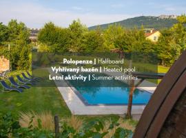 Amenity Penzion Horni Vestonice，位于霍尔尼维斯特尼采的酒店
