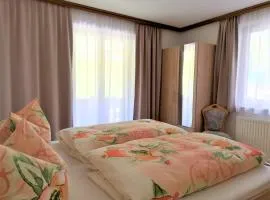 Apartment in Mayrhofen with a balcony