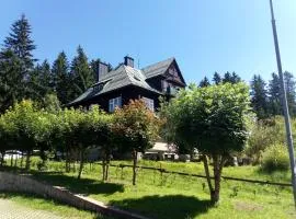 Apartmán 126 Centrum - Harrachov