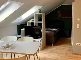 Moderne Dachgeschosswohnung an der Donau