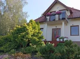 Przytulne Studio Borówkowy Zagajnik