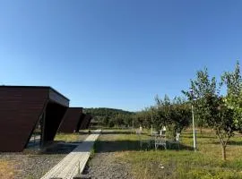 Shtegu I Gjelber- Wood Rooms