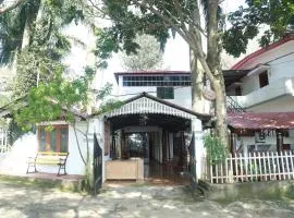 Rainforest inn