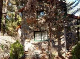 Platres Mountain Cottage