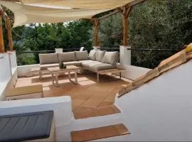 Beautiful Rustic House