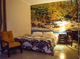 Hotel Pousada Do Leão，位于伦索伊斯-保利斯塔的酒店