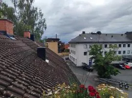 Loft apartment in the heart of Hamar