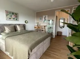 Salzburg - Der kleine Grenzgänger