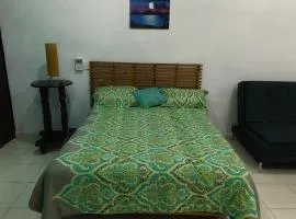 Departamento Centrico La Ria