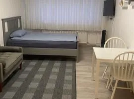 Ganze Apartment in Saarbrücken City