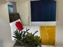 Budget Kingston Classic - Kensington Nest