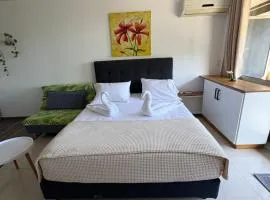 Studio Hiva