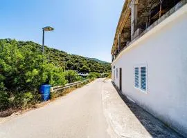 Apartments by the sea Ubli, Lastovo - 24676