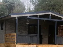Chalet 4 pers, terrasse privée, au calme - API-1-52-488