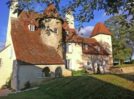Castle in Le Veurdre near Forest and River，位于勒维尔德的酒店