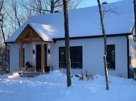 New chalet with Spa and Swimming pool - Le Must