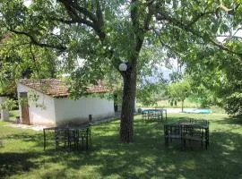 Attractive apartment in old farmhouse on the estate with pool