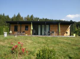 Holiday Home in Turquestein Scenic Views，位于Abreschviller的酒店