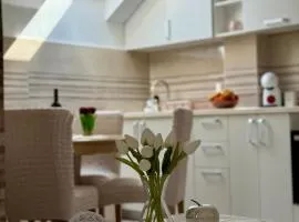 Studio Apartman Gracia