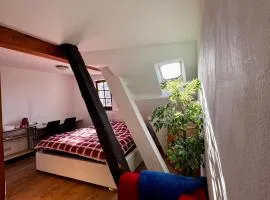 Cozy one-room apartment