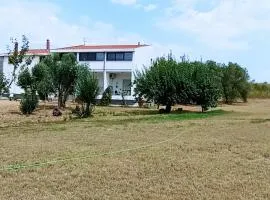 Il giardino del Sole
