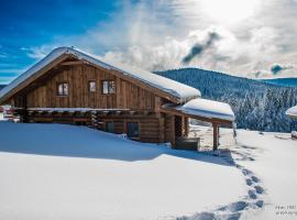 Chalet Harmony, Li&eacute;zey - G&eacute;rardmer 9p - Spa，位于利耶泽的木屋