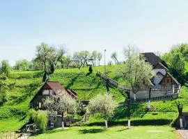 Pensiunea La Domnița