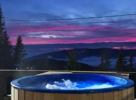 Pensiunea Alpin SPA，位于兰卡的酒店