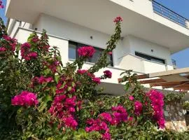Vana's Apartments