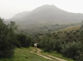 Holiday Home in Villanueva near El Terril Peak