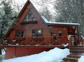 Cabañas Bosque Del Faldeo，位于乌斯怀亚的山林小屋