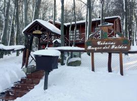 Cabañas Bosque Del Faldeo，位于乌斯怀亚的木屋