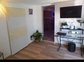 Bas de villa à 100 M de la plage
