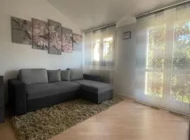 B&B Le Peonie Alloggio centrale vicino al mare