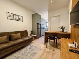 Apartamento 1 quarto