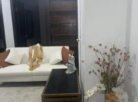 Comodo y economico Apartamento