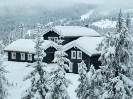 12 person holiday home in Fåvang