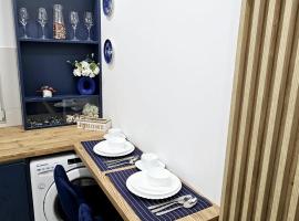 Silvery Studio 20，位于勒德乌齐的酒店