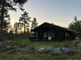 Cabin With Rauland Mountain Views