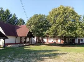 Színes Apartmanok és Kemencés Apartmanok