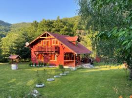 Heart of the Forest Penthouse，位于Ghipeş的酒店