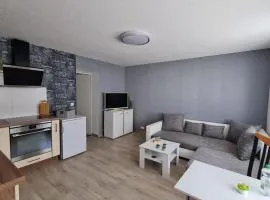 Ferienwohnung Blumenberg Hahn Grabenstraße