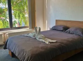 Apartman Alinac