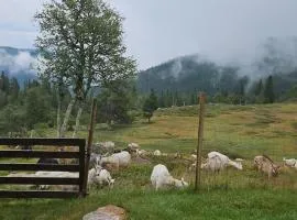 Authentic mountain gem on idyllic summer pasture