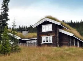 12 person holiday home in Fåvang-By Traum