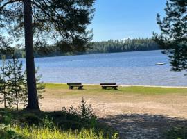 Joutiaisentie I 55 Forest apartment，位于Joutsa的酒店
