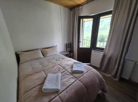 Hotel White Swan, Ushguli，位于Itʼkhvisi的酒店